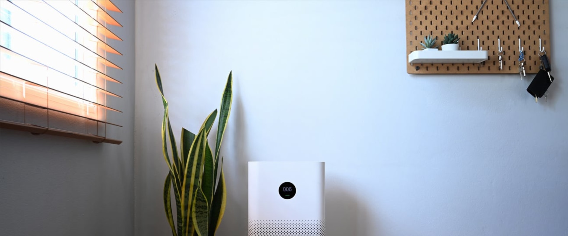 The Truth About Air Purifiers: Separating Fact from Fiction