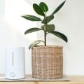 The Truth About Air Purifiers: Are They Really Worth It?