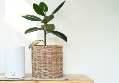 The Truth About Air Purifiers: Are They Really Worth It?